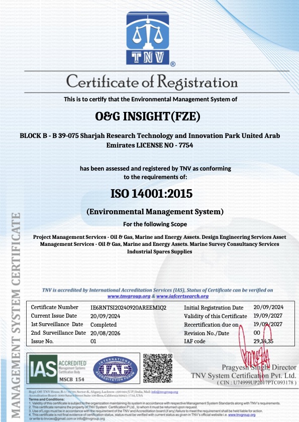 OG INSIGHT – 14001_ SUR 01