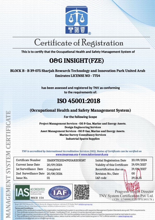 OG INSIGHT – 45001_SUR 01