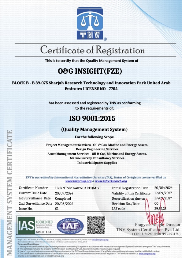 OG INSIGHT – 9001_SUR 01